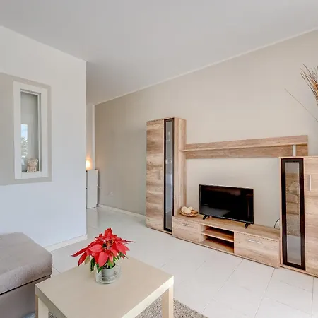 Big Terrace Apart With B-b-q In Las Americas Adeje אדחה